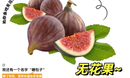 护肝片的疗效-护肝片功能主治用法用量专区_护肝片功效和成分专区_护肝片儿的功能与主治网