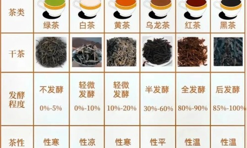 护肝片功能主治用法用量专区_护肝片功效和成分专区_护肝片儿的功能与主治网